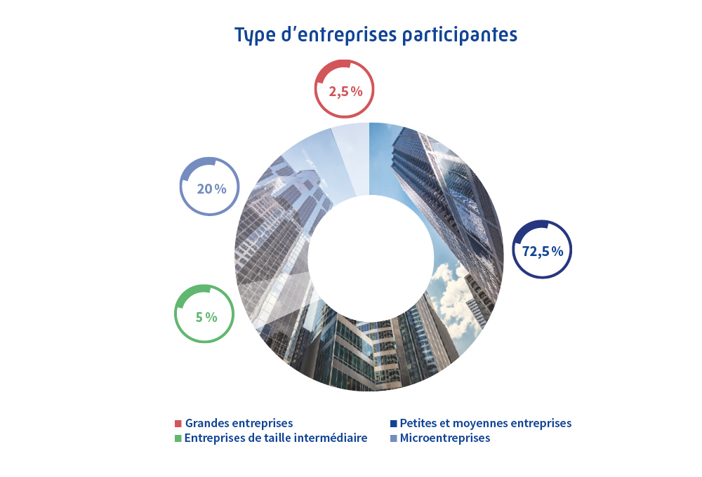 Infographie des types d'entreprises participantes aux webinaires