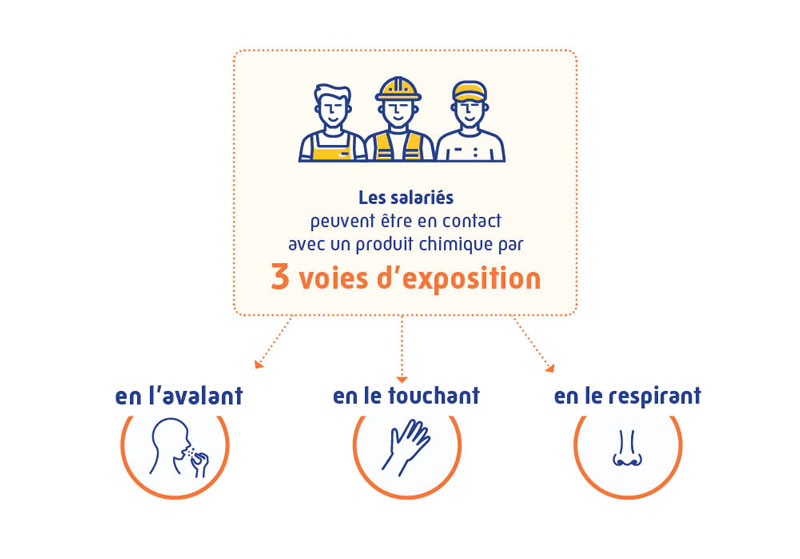 Infographie : 3 voies d'exposition à un produit chimique (avaler, toucher, respirer)
